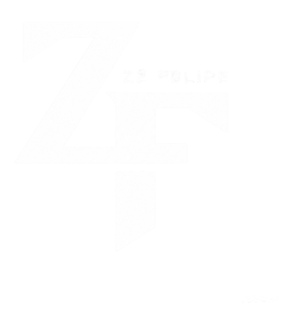 Zé Felipe